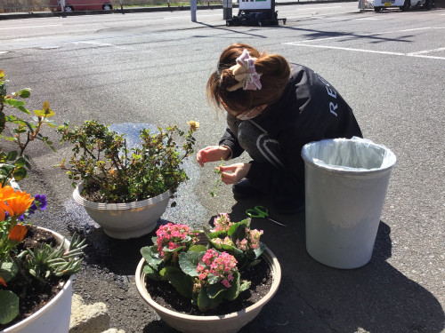 IMG_2310.jpeg