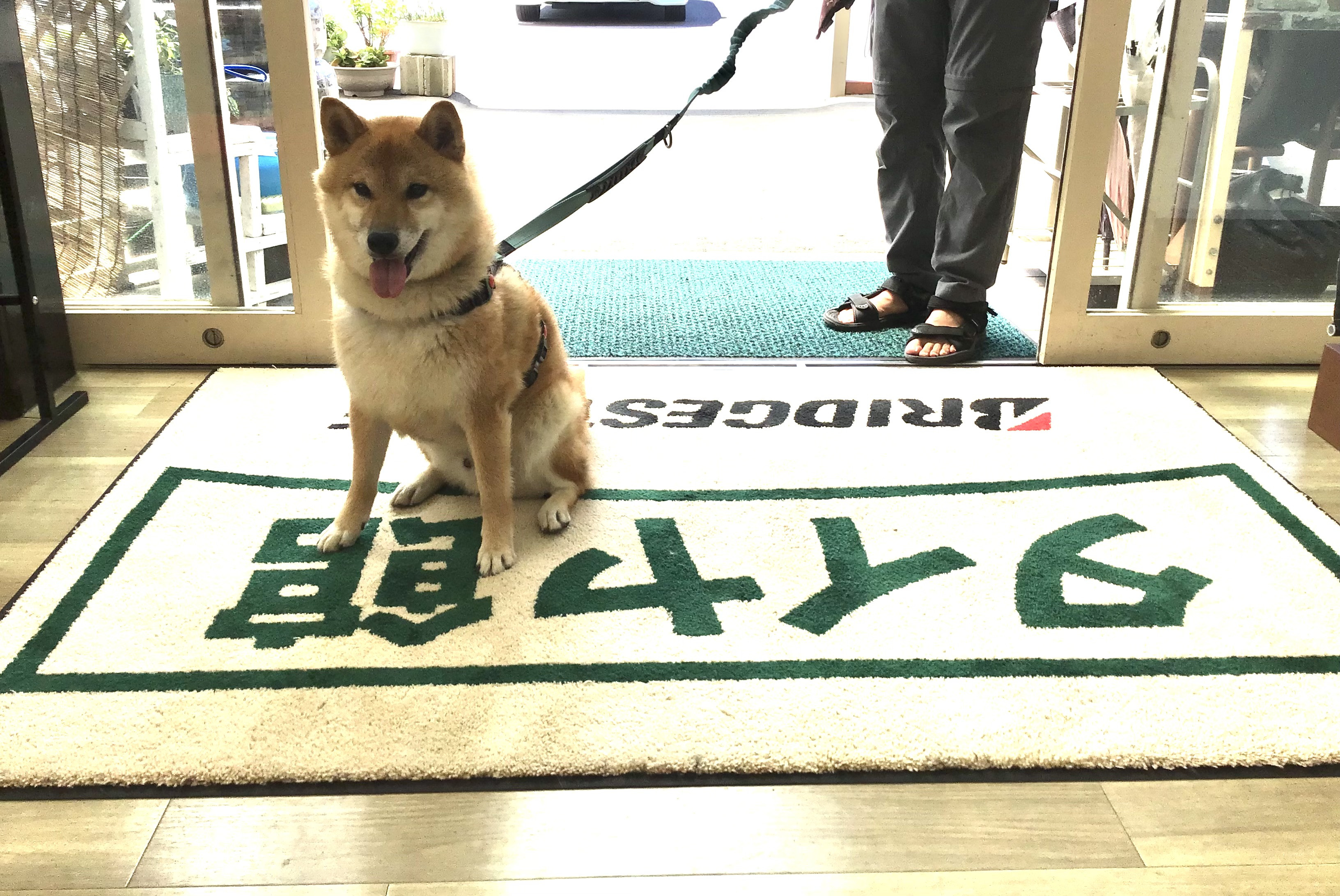 ８月12日（火)〜８月15日（金）まで夏期休業