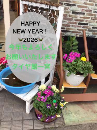 IMG_0510.jpeg