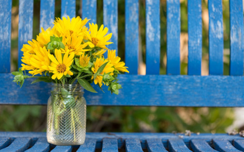 Yellow-flowers-bottle-bench_1920x1200.jpg