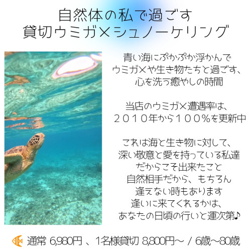 癒やし部門 instagram 始めましたのコピーのコピー_20260103_223727_0000.jpg