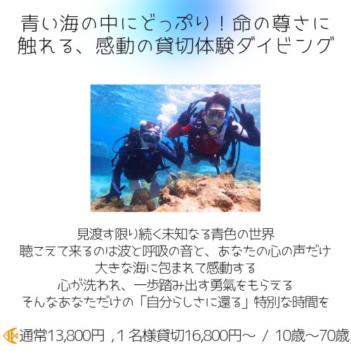 癒やし部門 instagram 始めましたのコピーのコピー_20260103_223727_0001.jpg