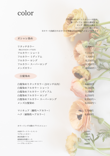 メニュー - カラー.png