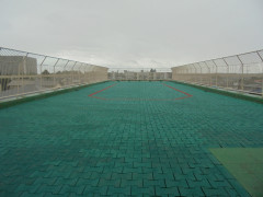 DSC01544.JPG