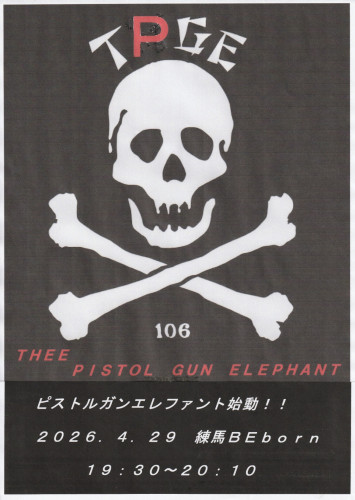 THEE  PISTOL GUN ELEPHANT