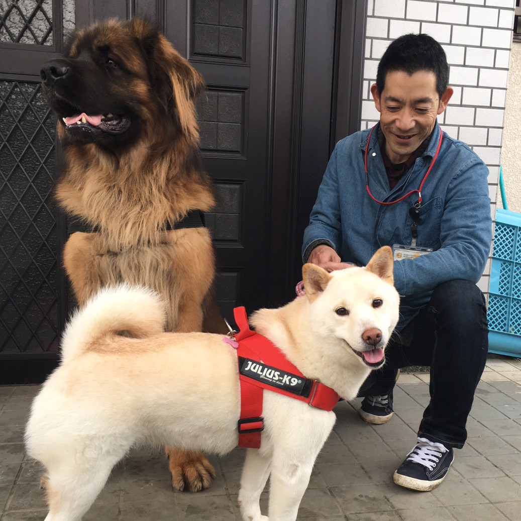 店長と犬