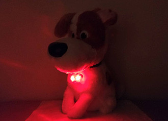 犬用LEDライト