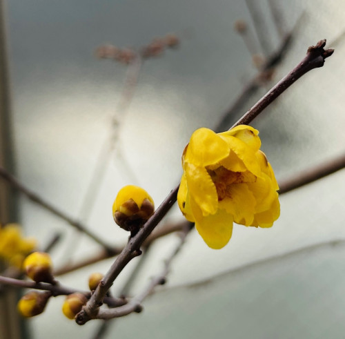 ブログ更新しました