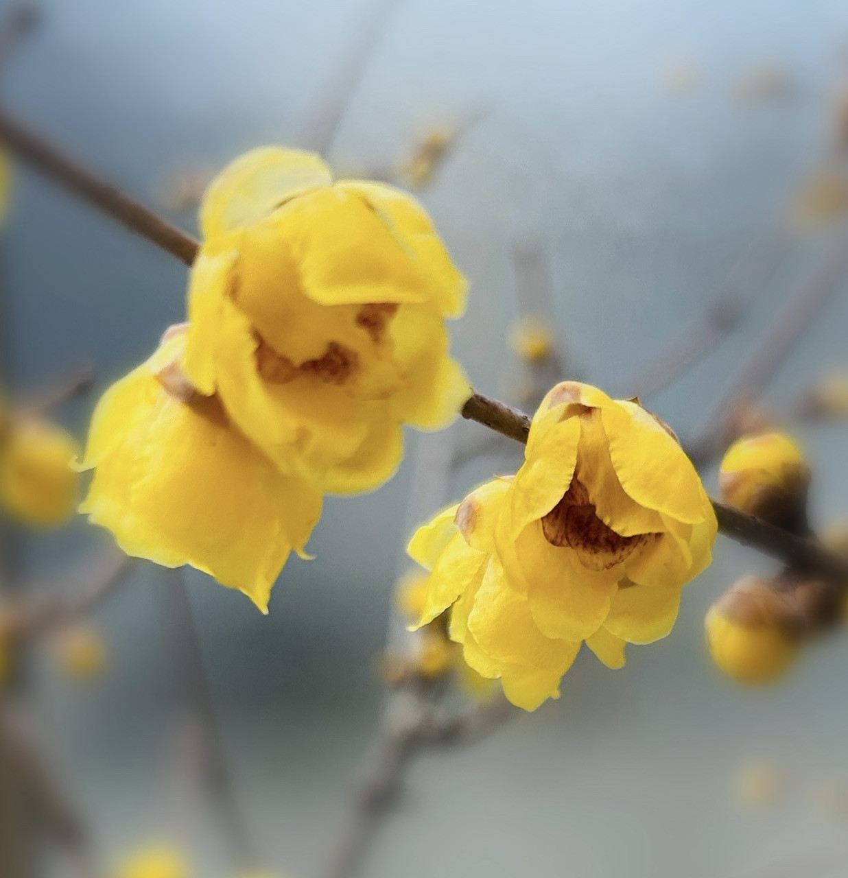 ブログ更新しました