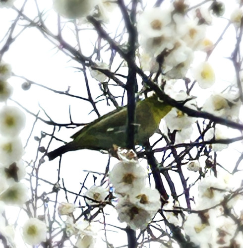 ブログ更新しました