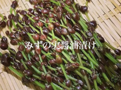 A1C17E66-531F-434C-A319-EDEE823D6903.jpeg