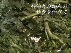 A0C802AD-C33D-4D57-9DA8-980811DE7886.jpeg