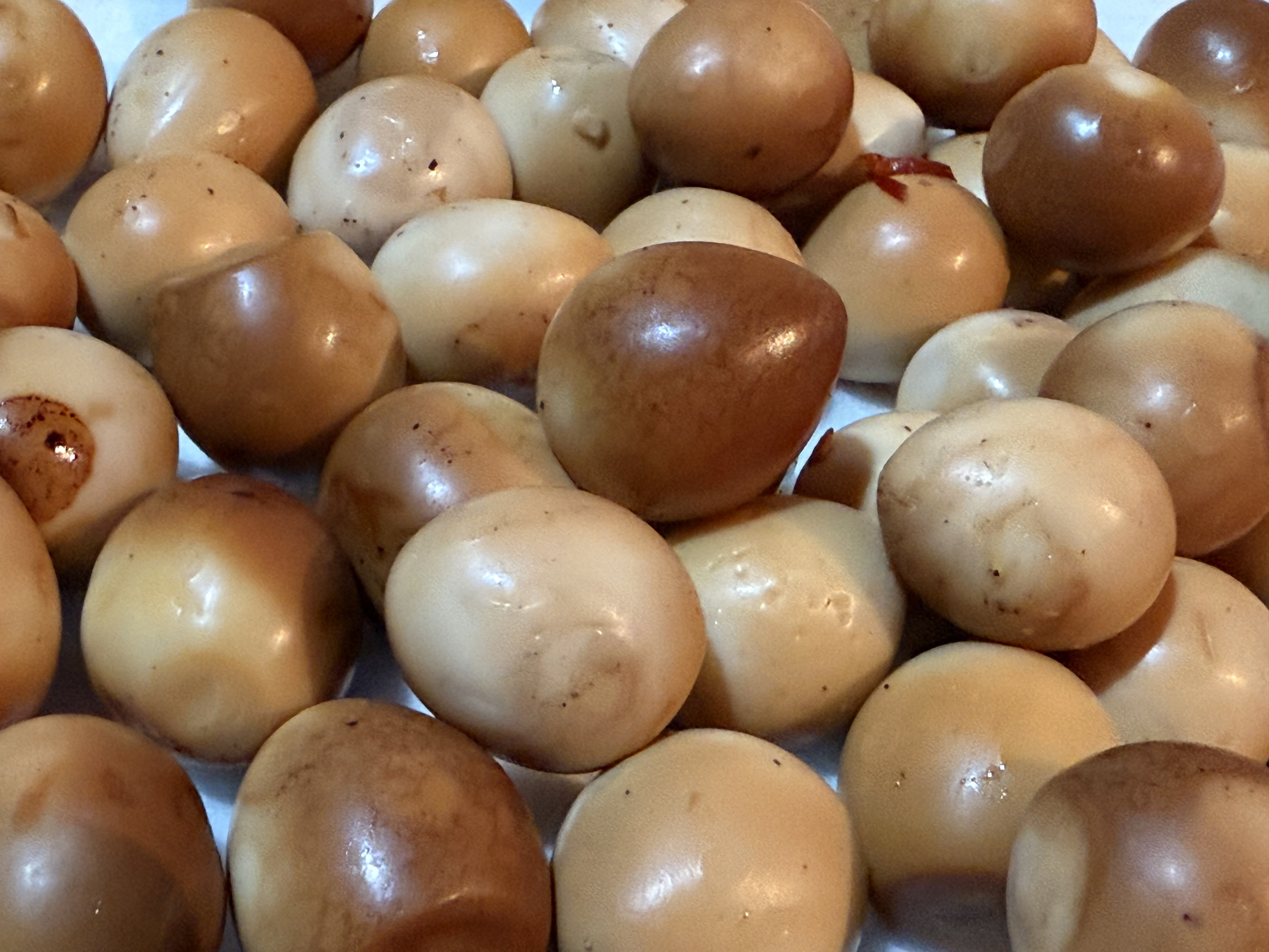 11/16営業について