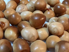 11/16営業について