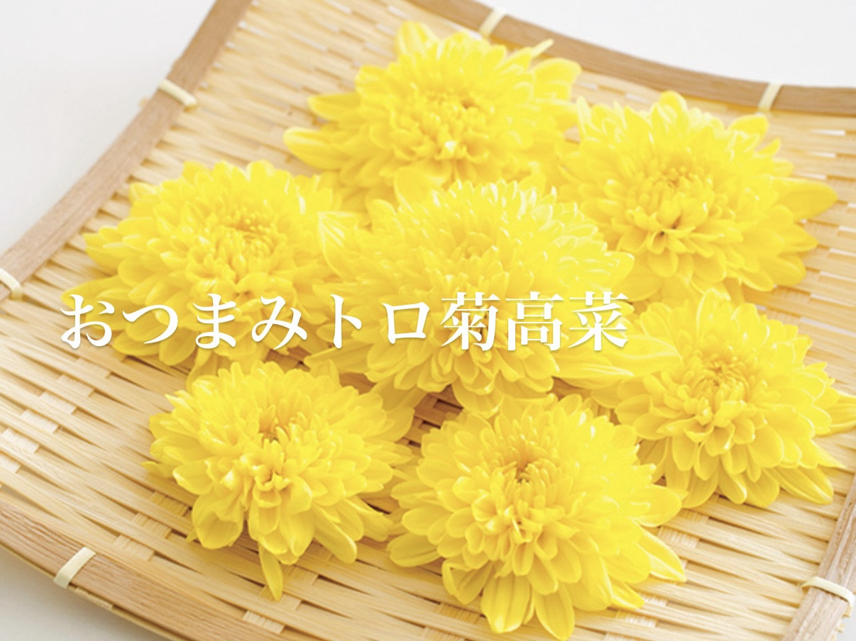 11/19営業について