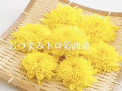 11/19営業について