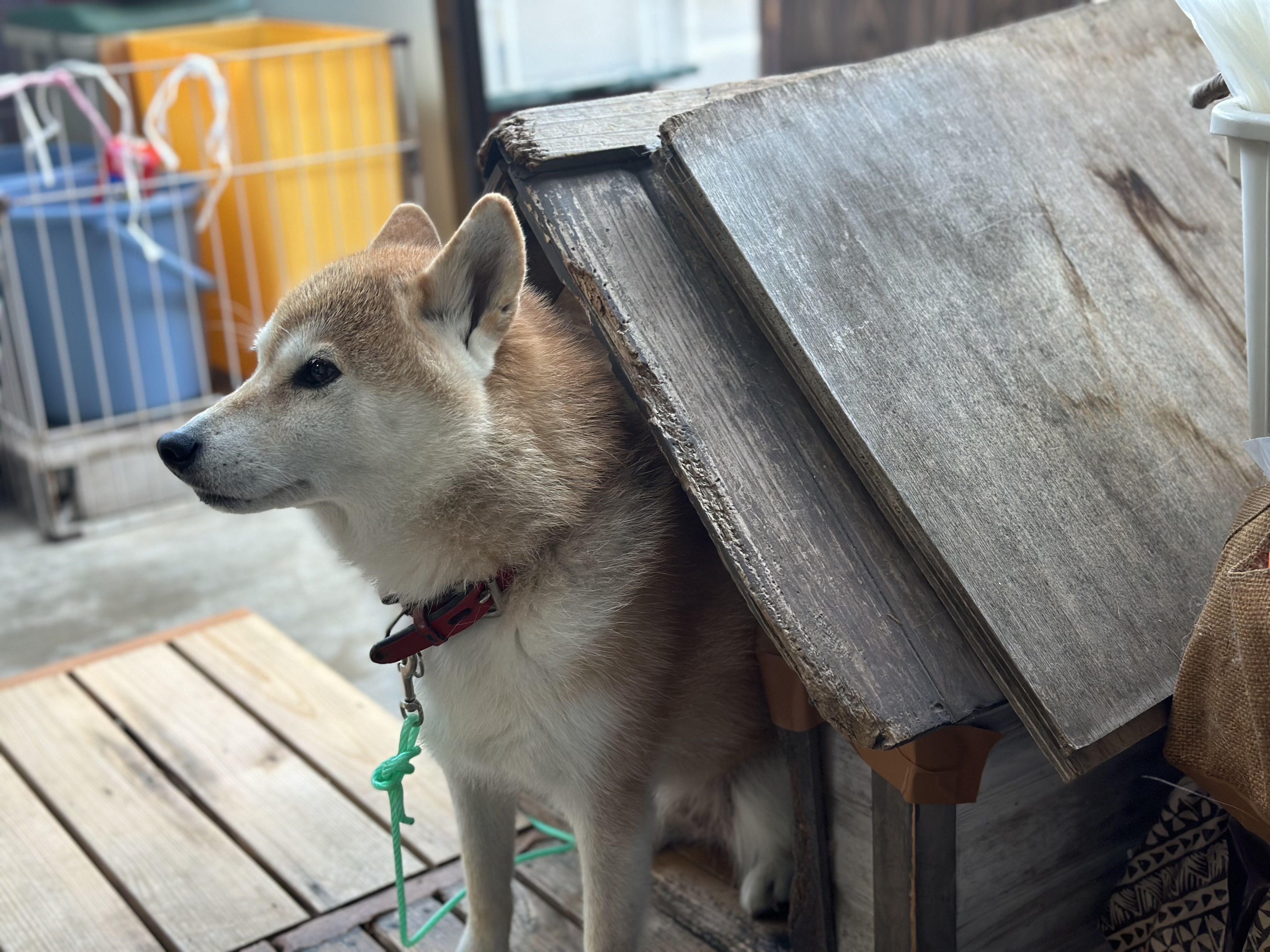 11/25営業について