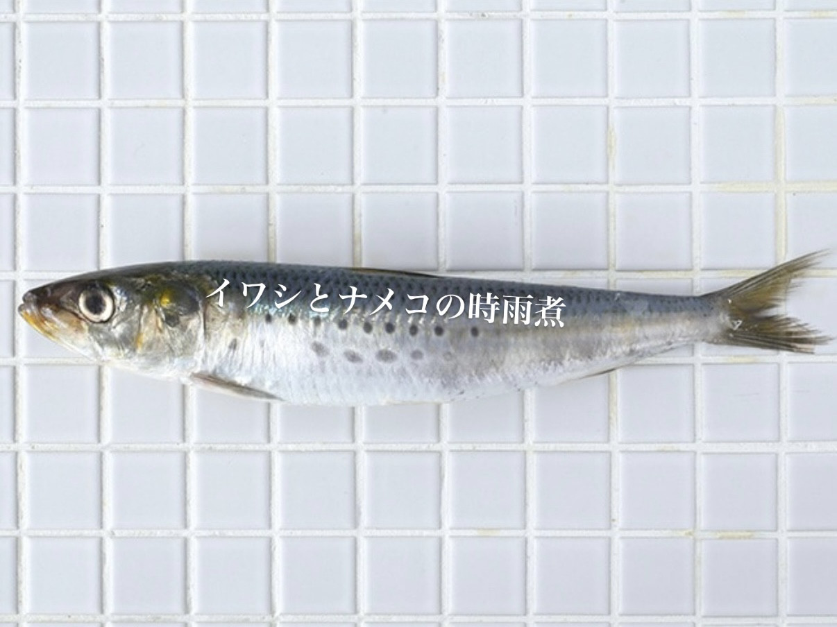 11/26営業について