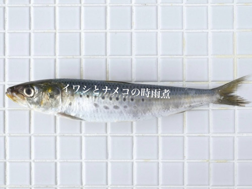 11/26営業について