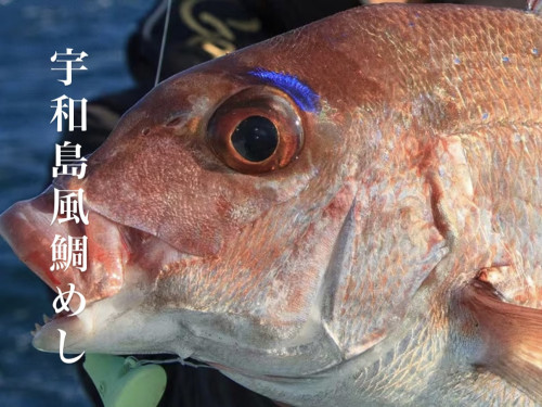 1/30営業について