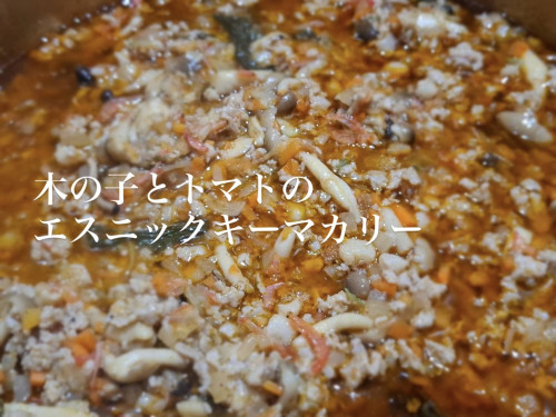 2/19営業について