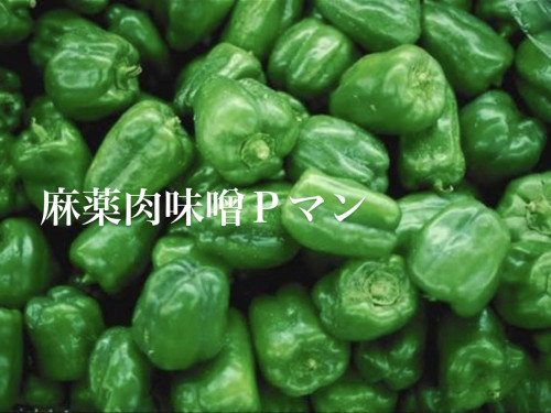 3/8営業について