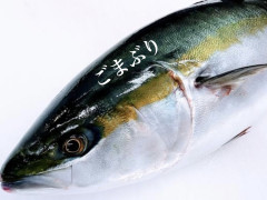 3/14営業について