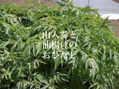 3/20営業について