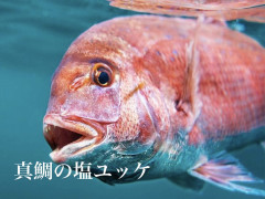 3/28営業について