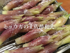 4/18営業について