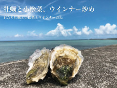 5/1営業について