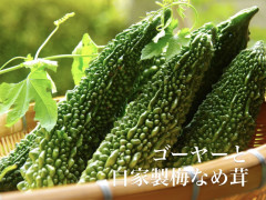 C4A5F050-8DED-4B66-9A48-16F30EA0FEF5.jpeg