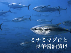 7/31営業について