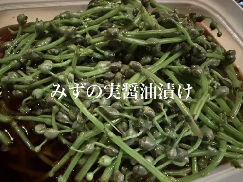 9/12営業について