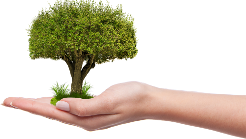 セルフキャリアドッグを導入しました。