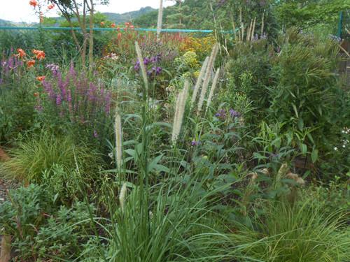 DSCN8982.jpg