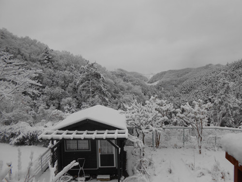 DSCN9244.jpg