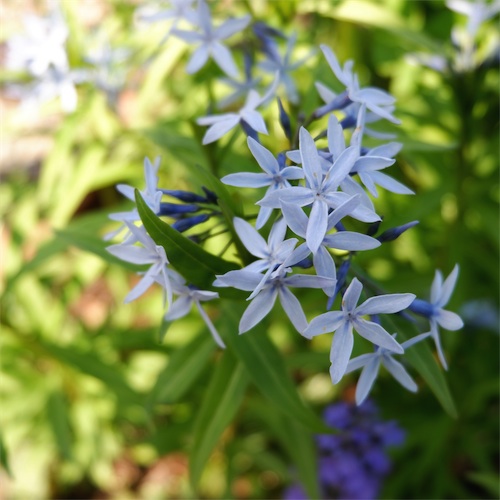 DSCF0845.jpg