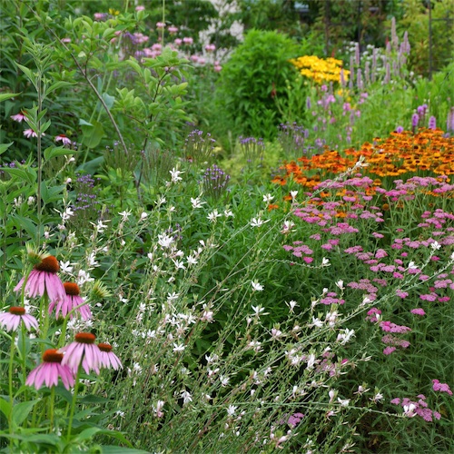 DSCF1631.jpg