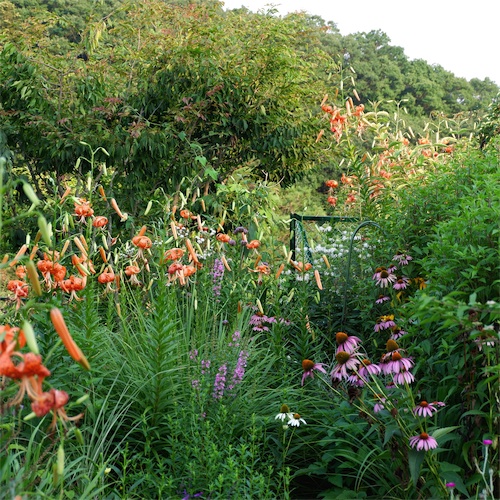 DSCF1782.jpg