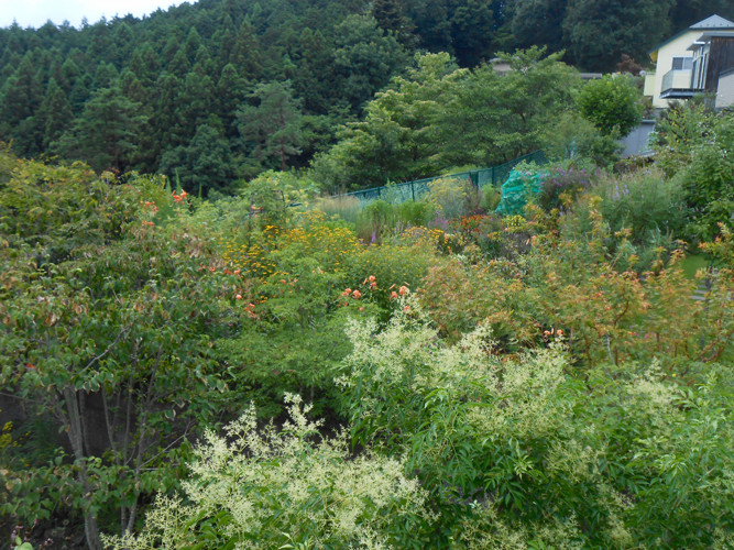 DSCN9458.jpg