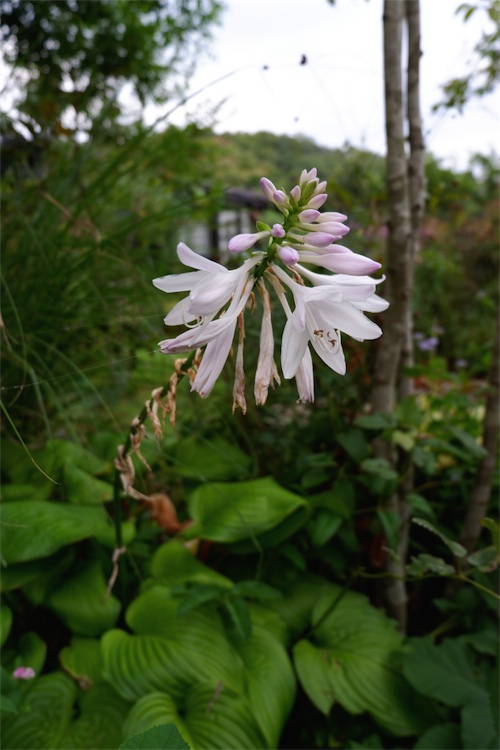 DSCF1955.jpg