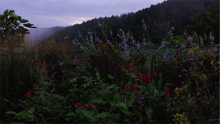 DSCF2037.jpg