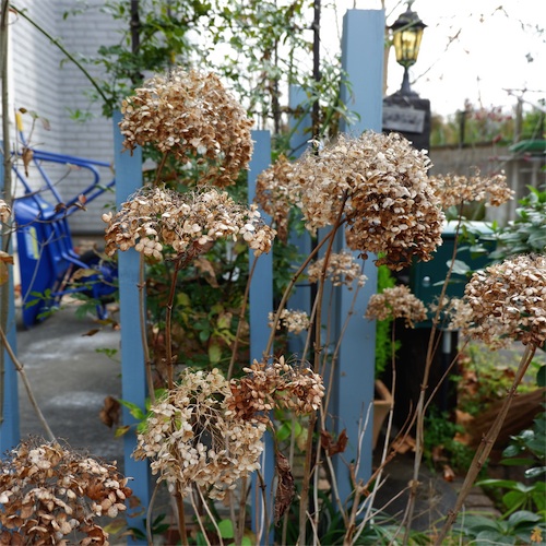 DSCF2281.jpg