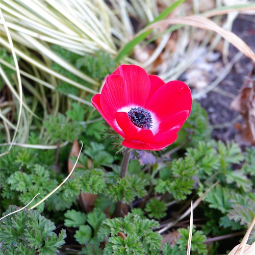 DSCF2528.jpg