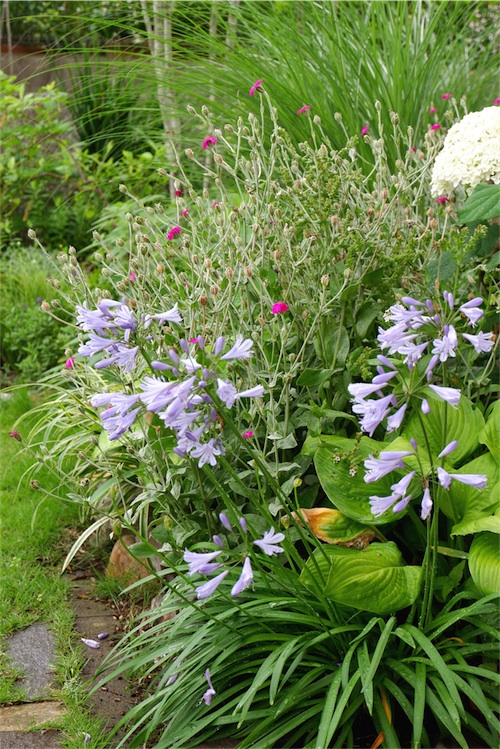 DSCF3405.jpg