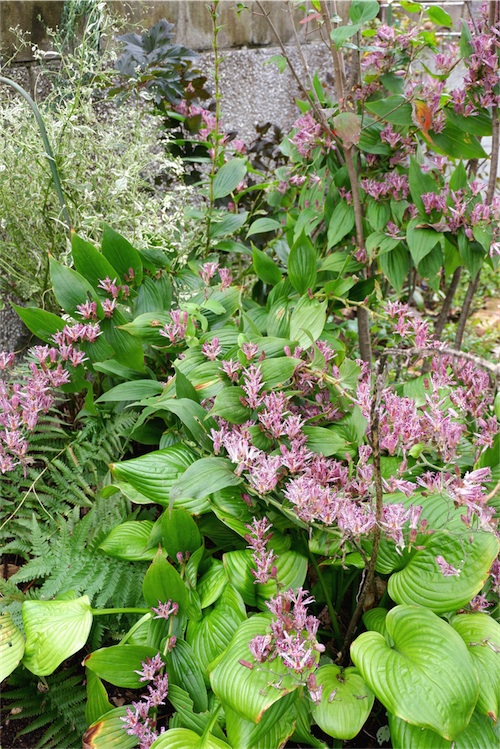 DSCF3967.jpg