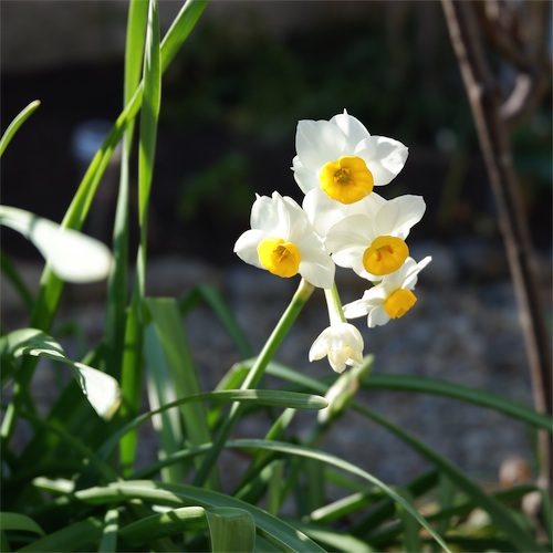 DSCF4076.jpg