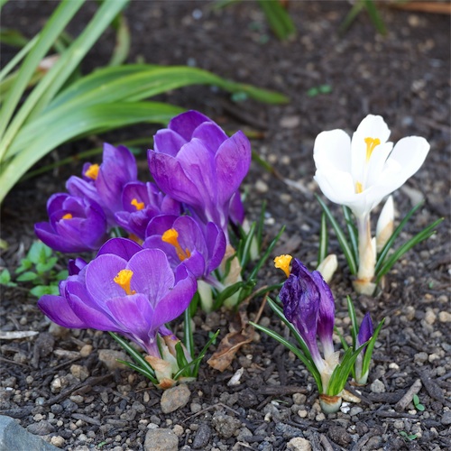 DSCF4121.jpg