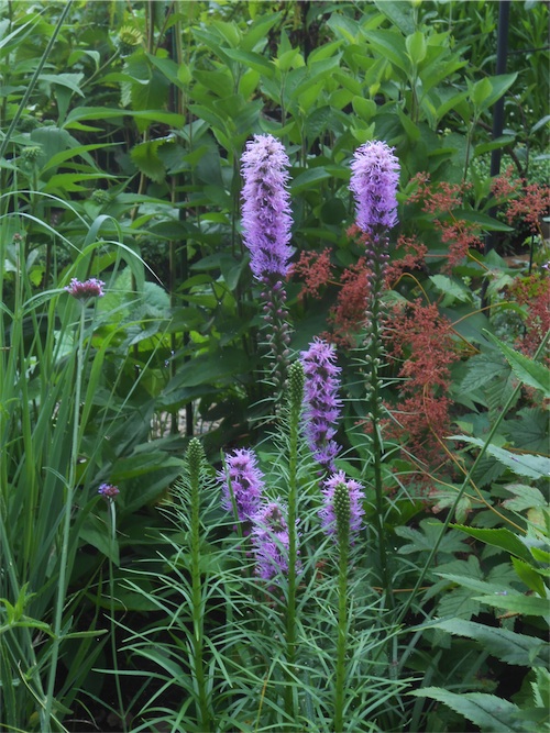 DSCN0132.jpg